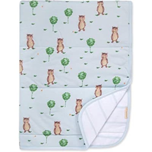 Burts Bees Baby Infant Reversible Blankets 100% Organic Cotton GOTS Certified - Storybook Bear Prints with Quilting Pattern Soft Nursery Blanket with 100% Polyester Fill for Size 30 x 40 Inch