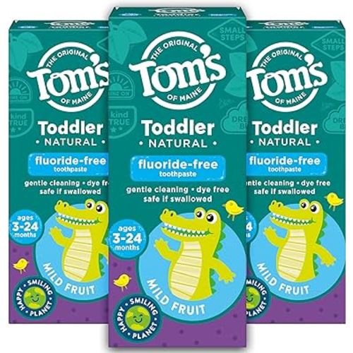 Tom's of Maine Fluoride-Free Toddler Training Toothpaste, Mild Fruit, 1.75 oz. 3-Pack (Packaging May Vary)