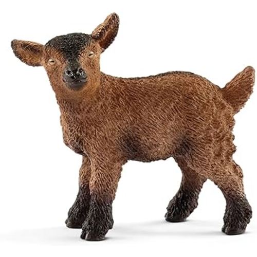 Baby Goat