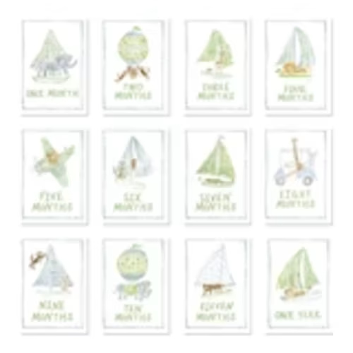 Baby Milestone Cards: Menagerie Blue Set