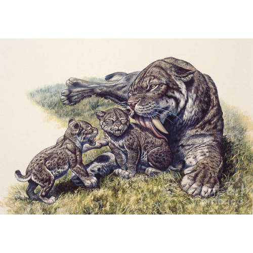 Smilodon Sabertooth Mother And Her Cubs Art Print