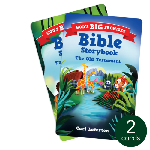 God's Big Promises Bible Storybook Pack