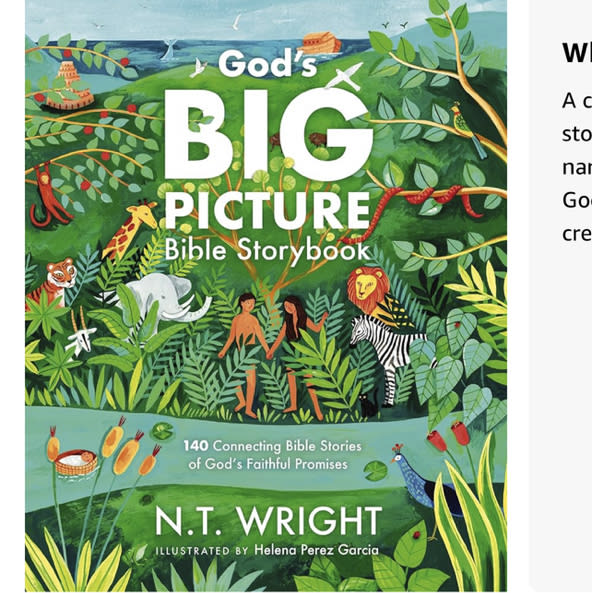 God's Big Picture Bible Storybook: 140 Connecting Bible Stories of God's Faithful Promises (God’s Big Picture Bible Stories)