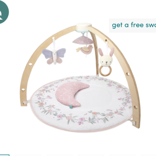 Baby Gym | Premium Baby Activity Gym | aden + anais