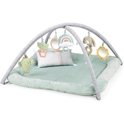 Ingenuity Calm Springs Plush Activity Gym for Baby, Ultra-Soft Premium Mat, Toys