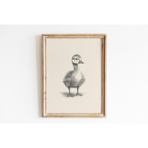 Baby goose vintage print | Goose wall art | Goose drawing | Antique vintage painting | Farmhouse nursery print | Vintage nursery print