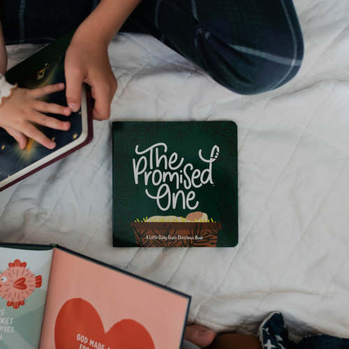 The Promised One - Board Book | TDGC – The Daily Grace Co.