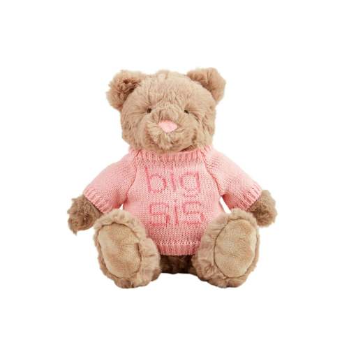 Big Bro - Big Sis Plush Bear