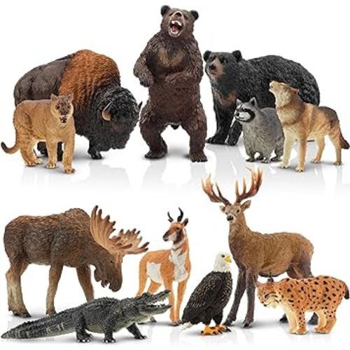 Toymany 12PCS North American Forest Animal Figurines, Realistic Jungle Animal Set includes Raccoon,Lynx,Wolf,Bear,Eagle, Educational Toy Cake Toppers Christmas Birthday Gift for Kids Toddlers
