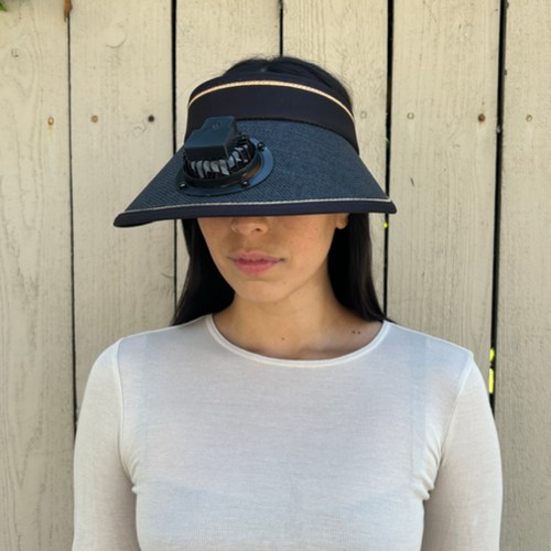 Fan Visor