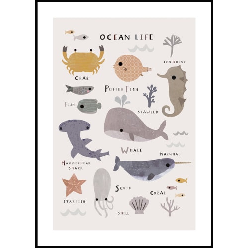 Ocean Life Poster