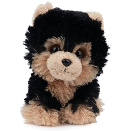 GUND Boo, The World’s Cutest Dog, Boo & Friends Collection Yorkie Puppy, Stuffed Animal for Ages 1 and Up, 5”