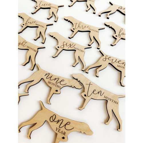 Personalized Dog Theme Nursery Monthly Milestone Plaques | Baby Shower Gift | Custom Dog Breed Newborn Baby Gift for Dog Nursery