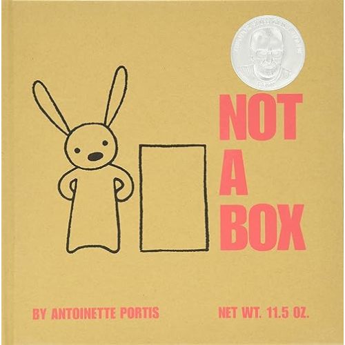 Not a Box Hardcover – Picture Book, December 12, 2006
