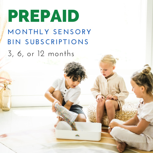 PREPAID 3 Months of Sensory Bins.