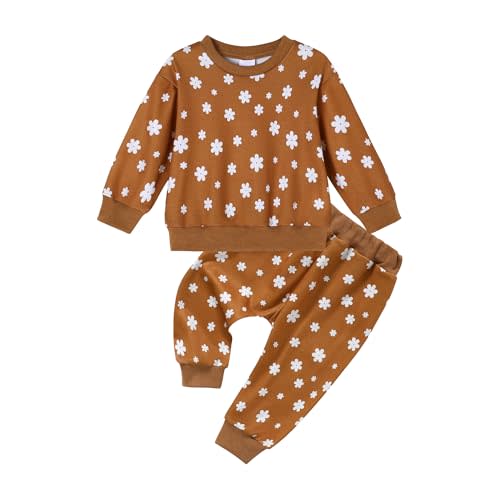 ZOEREA Toddler Baby Girl Clothes Long Sleeve Pullover Tops + Pants Set Floral Print Sweatsuit Fall Winter Outfits 6M-4T