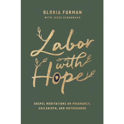 Labor with Hope: Gospel Meditations on Pregnancy, Childbirth, and Motherhood Hardcover – June 25, 2019