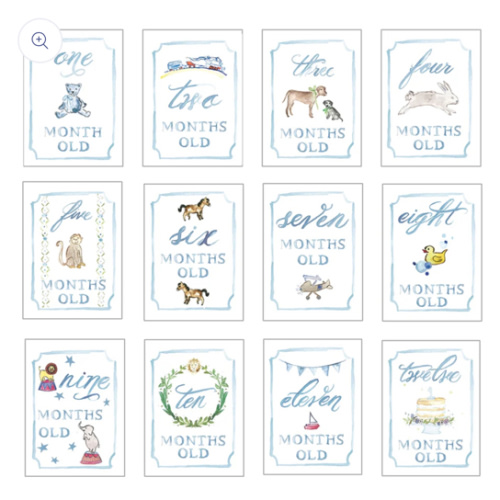 Month by Month Baby Cards
