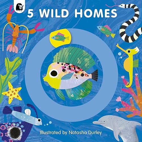 5 Wild Homes Board book – October 26, 2021