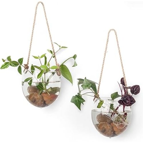 2 Pack Terrariums Container Flower Planter Hanging Glass for Hydroponic Plants Home Garden,Home Office Living Room Decor,Oblate Shape