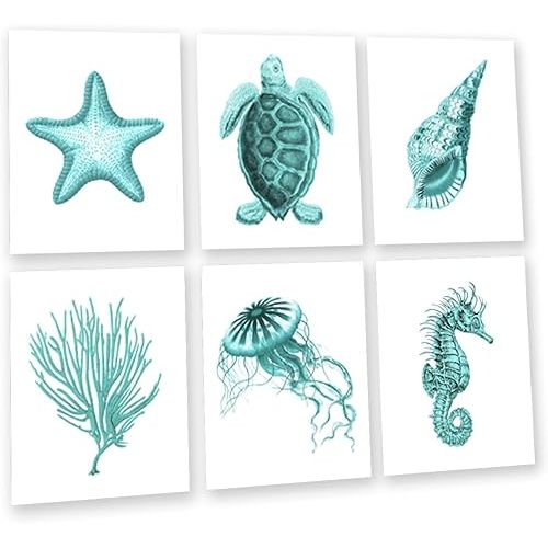 Gnosis Picture Archive Turquoise Beach Wall Art Set of 6 Unframed Prints Sea Turtle Seashells Starfish Jellyfish