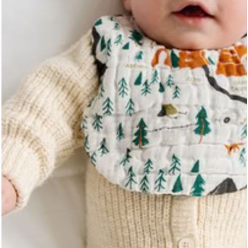 National Parks Bib