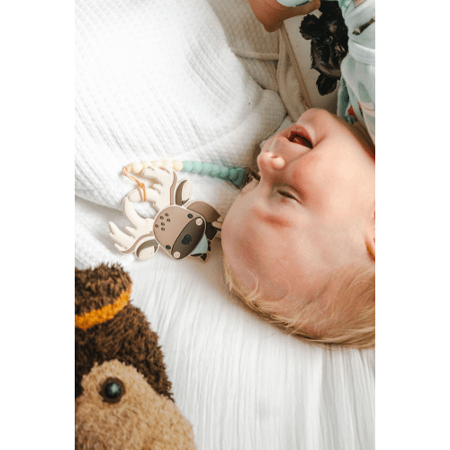 OneC™ Silicone Clip Teether Set - Moose
