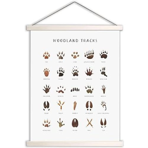 Woodland Tracks Hanging Poster, Canvas Artwork Woodland Nursery Decor 16x20 Inch, Animal Tracks Field Guide Sign, Forest Nursery Decor, Boy Nursery Wall Decor, Jungle Nursery Decor For Kids