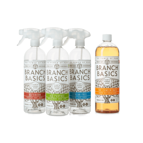 Cleaning Essentials Kit