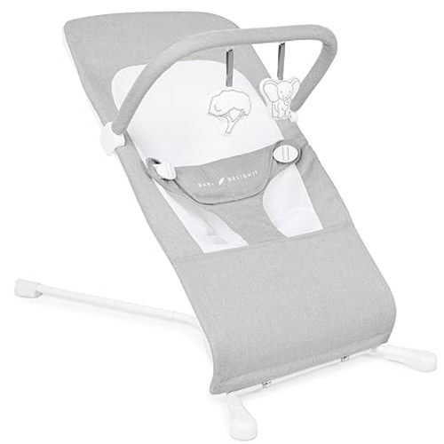 Baby Delight Highland Baby Bouncer | Infant | 0 – 6 Months | 3-Position Recline | Pebble Grey
