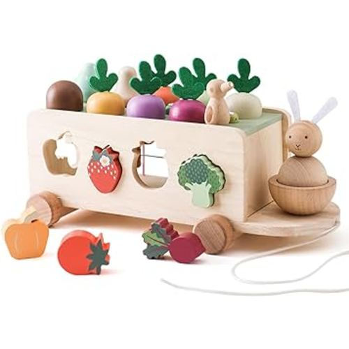 Montessori Toys, Shape Sorting & Matching Fine Motor Skills Toys