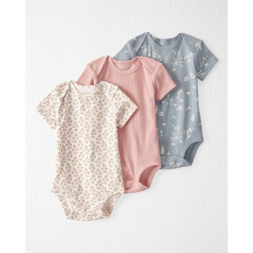 Baby 3-Pack Organic Cotton Rib Bodysuits