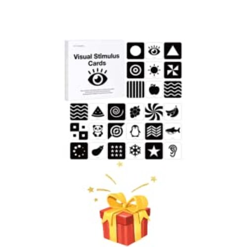 Richgv Black and White High Contrast Flash Cards for Baby. Cognitive Cards 20pcs with 40 Pages.Visual Stimulation Sensory Toy Educational Baby Gift for 0-3months - 0-3 months/20pcs
