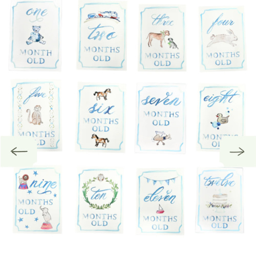Monthly Milestone Card Set - Blue | Danrie