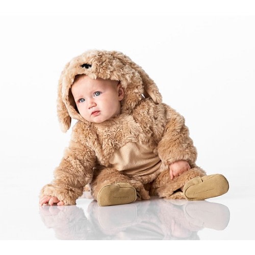 Baby Dog Costume | Pottery Barn Kids 12-24M