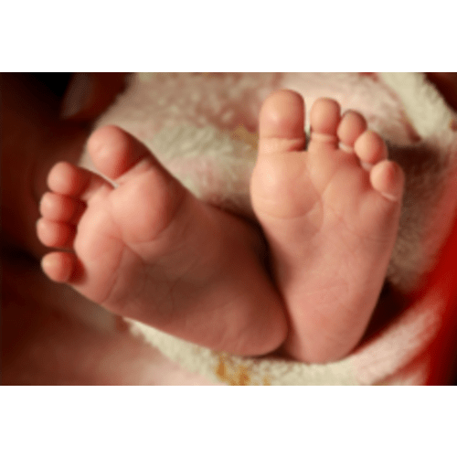 Newborn Photos Fund