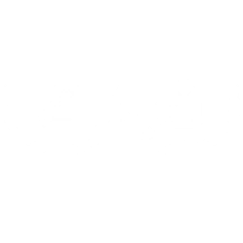 Silverette Nursing Cups – Silverette Usa