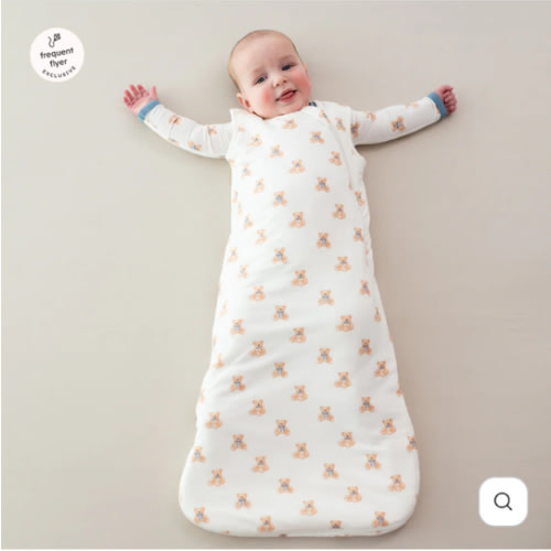 Sleep Bag Swaddler in Teddy Bear 1.0