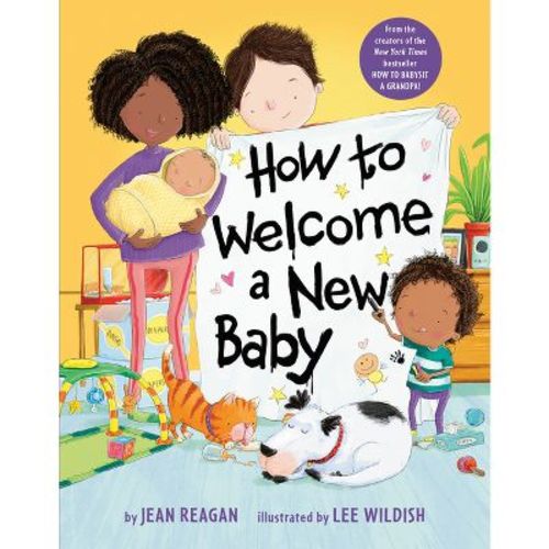 How to Welcome a New Baby - by Jean Reagan (Board Book)
