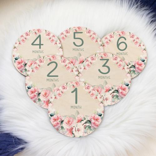 Pink Roses Floral Milestone Cards, Floral Milestone Marker, Wood Milestone Card, Photo Prop, Pink Roses Baby Shower Gift, Girl Nursery F104
