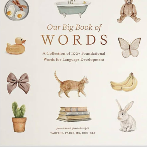 Amazon.com: Our Big Book of First Words: A Collection of 100+ Foundational Words for Language Development (Tabitha Paige Children's Book Series): 9781958803875: Paige, Tabitha, Paige Tate & Co.: Books