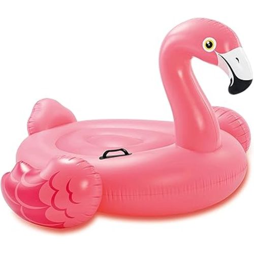 INTEX Inflatable Pool Float: Pool Toy for Kids