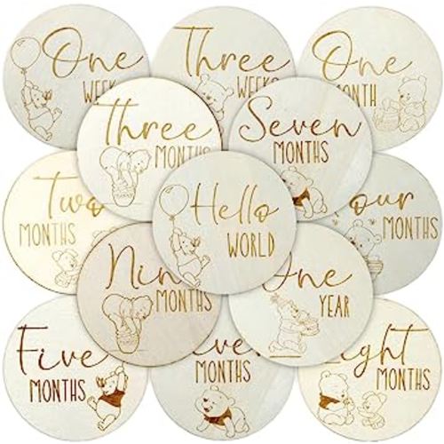 Winnie Baby Monthly Milestone Marker Discs Baby Announcement Sign Newborn Sign For Photo Prop Baby Shower Nursery Gift(16PCS)