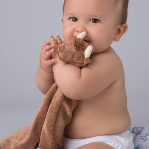 Angel Dear - Bison Blankie