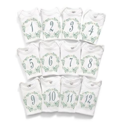 Jumpoff Jo Botanical Seize The Moment Baby Milestone Onesies, 1 Through 12 Bodysuit Set With Numbers