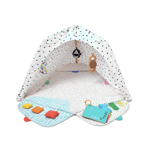 The Play Gym