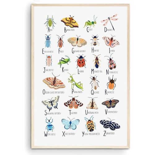 Nationcog Insect Alphabet Print, Nursery Wall Art, Bugs Print, Kids Room Decor, Nursery Decor, Alphabet Poster, Kids Wall Art, Gift for Him Her (Unframed) (9x11)