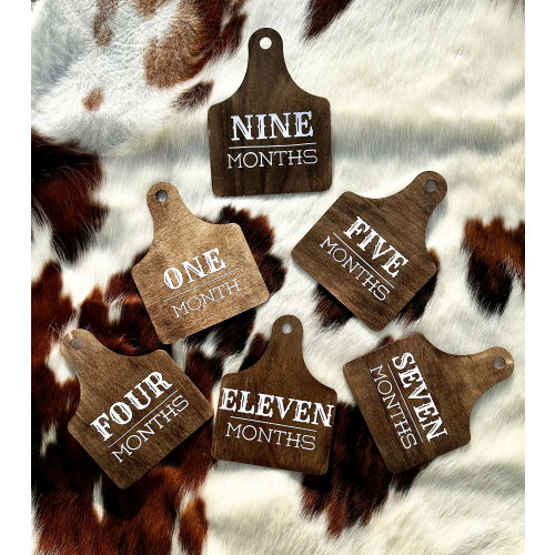 Cow Tag Monthly Milestone Cow Baby Gift Birth Announcement Sign Baby Shower Ear Tag Gift Western Monthly Milestone