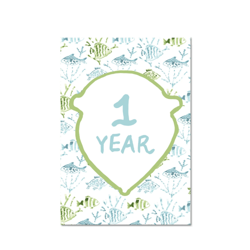 Baby Milestone Cards: Blue + Green Set