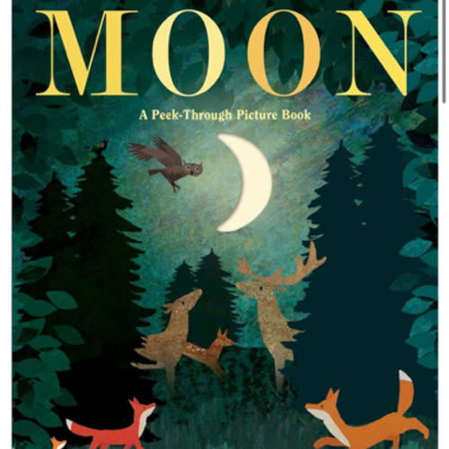Moon: A Peek-Through Picture Book